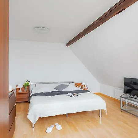 Swiss Star Aussersihl - Self Check-in Daire *